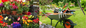 Oss retail fioristi e giardinaggio